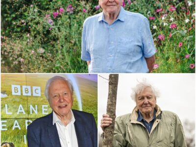 “He’s Like a Small Kid”: Heartwarming Health Update on Sir David Attenborough Quells Fears Following Sudden NTA Absence