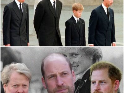 Earl Spencer’s Explosive Memoir Rocks the Monarchy: The Heartbreaking Truth About William, Harry, and Diana’s Final Journey