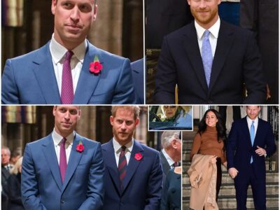 A Kingdom Divided: Prince William Reportedly “Furious” Over Prince Harry’s Plans for a Solo Princess Diana Documentary