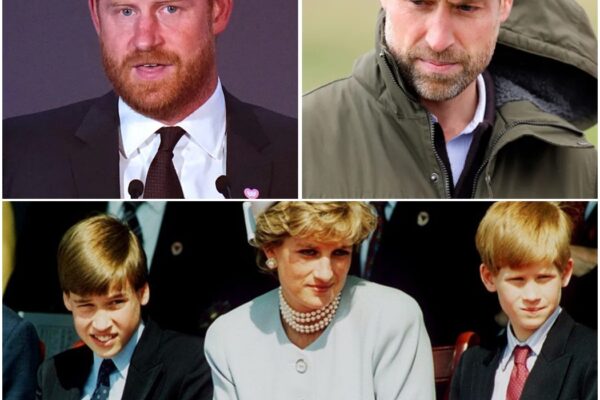 Prince William Makes Heartbreaking Sacrifice, Declining Diana Documentaries to Avoid Clash with Prince Harry